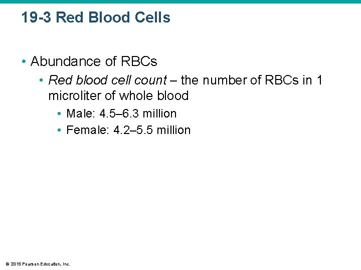 19 -3 Red Blood Cells • Abundance of RBCs • Red blood cell count