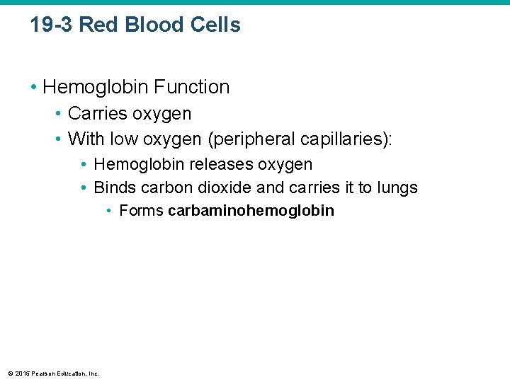 19 -3 Red Blood Cells • Hemoglobin Function • Carries oxygen • With low
