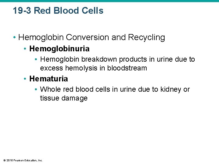 19 -3 Red Blood Cells • Hemoglobin Conversion and Recycling • Hemoglobinuria • Hemoglobin