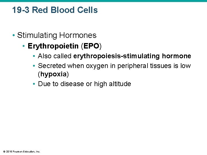 19 -3 Red Blood Cells • Stimulating Hormones • Erythropoietin (EPO) • Also called