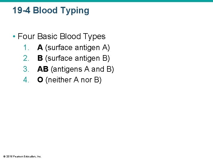 19 -4 Blood Typing • Four Basic Blood Types 1. 2. 3. 4. A