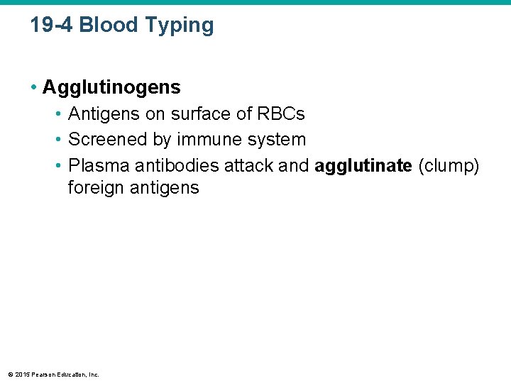 19 -4 Blood Typing • Agglutinogens • Antigens on surface of RBCs • Screened