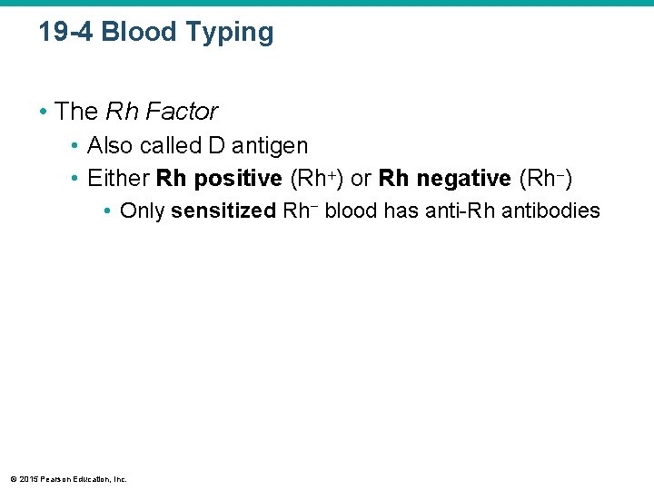 19 -4 Blood Typing • The Rh Factor • Also called D antigen •