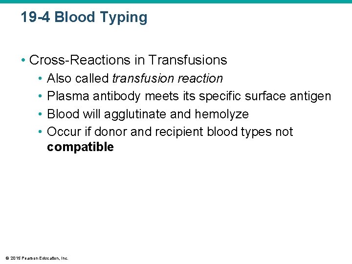 19 -4 Blood Typing • Cross-Reactions in Transfusions • • Also called transfusion reaction
