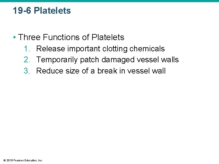 19 -6 Platelets • Three Functions of Platelets 1. Release important clotting chemicals 2.