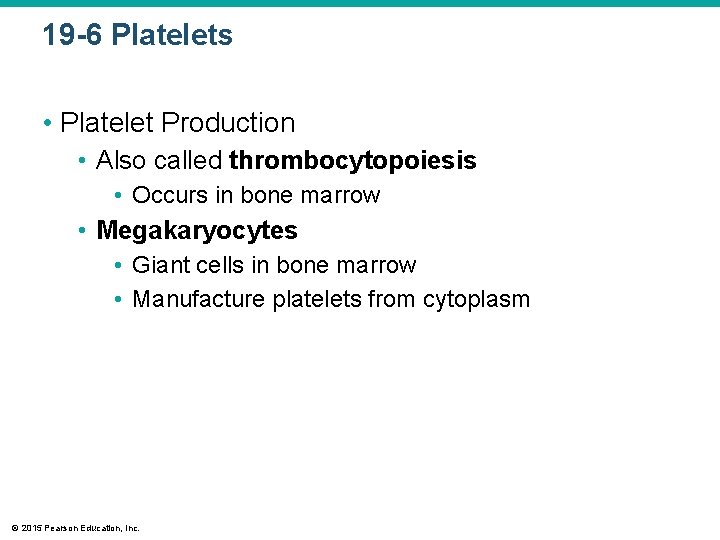 19 -6 Platelets • Platelet Production • Also called thrombocytopoiesis • Occurs in bone