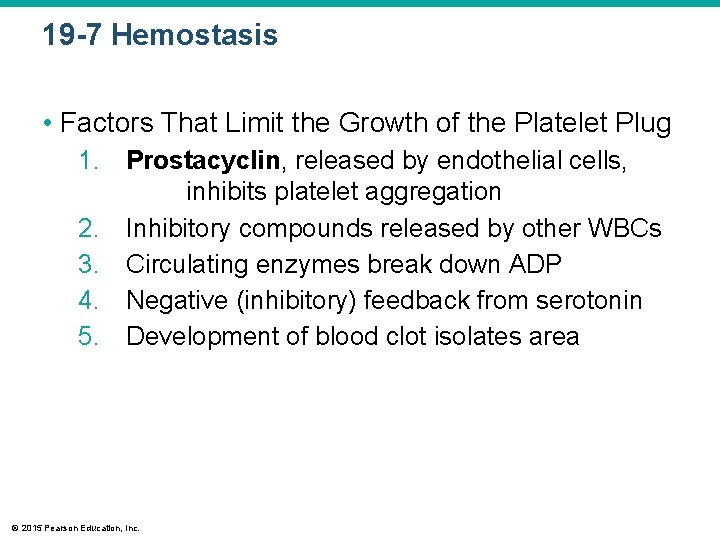 19 -7 Hemostasis • Factors That Limit the Growth of the Platelet Plug 1.
