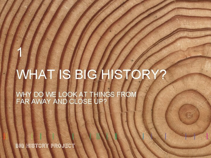 1 WHAT IS BIG HISTORY? WHY DO WE LOOK AT THINGS FROM FAR AWAY