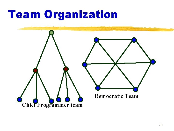 Team Organization Democratic Team Chief Programmer team 79 