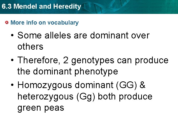 6. 3 Mendel and Heredity More info on vocabulary • Some alleles are dominant