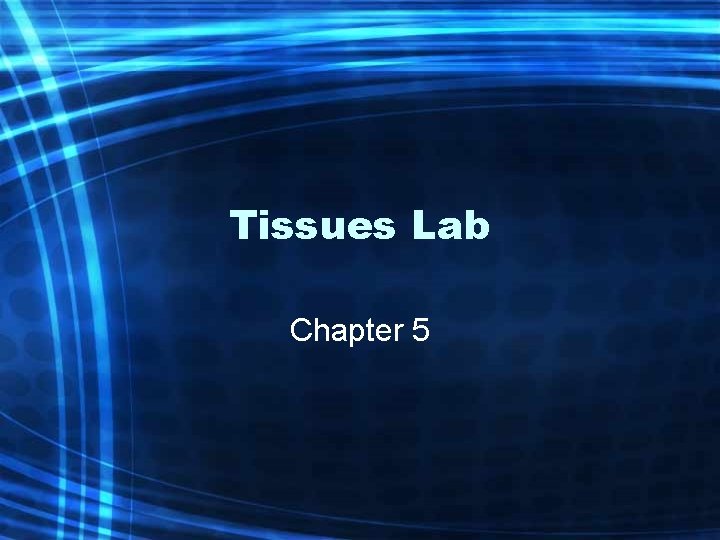 Tissues Lab Chapter 5 
