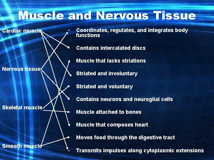 Muscle and Nervous Tissue Cardiac muscle Nervous tissue Skeletal muscle Smooth muscle • Coordinates,
