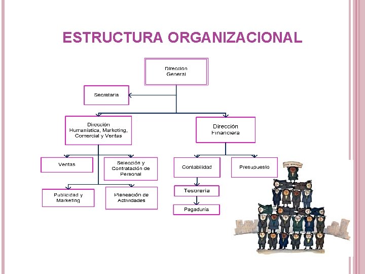 ESTRUCTURA ORGANIZACIONAL ESTRUCTURA ORGANIZACIONAL