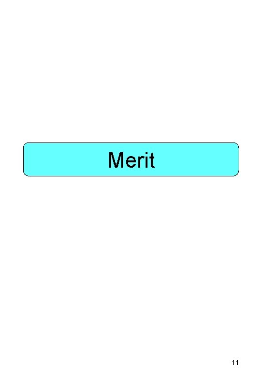 Merit 11 