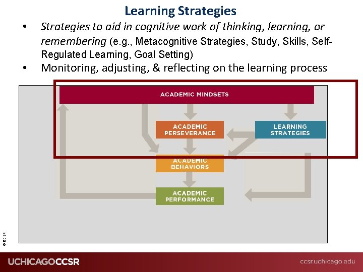 Learning Strategies • Strategies to aid in cognitive work of thinking, learning, or remembering
