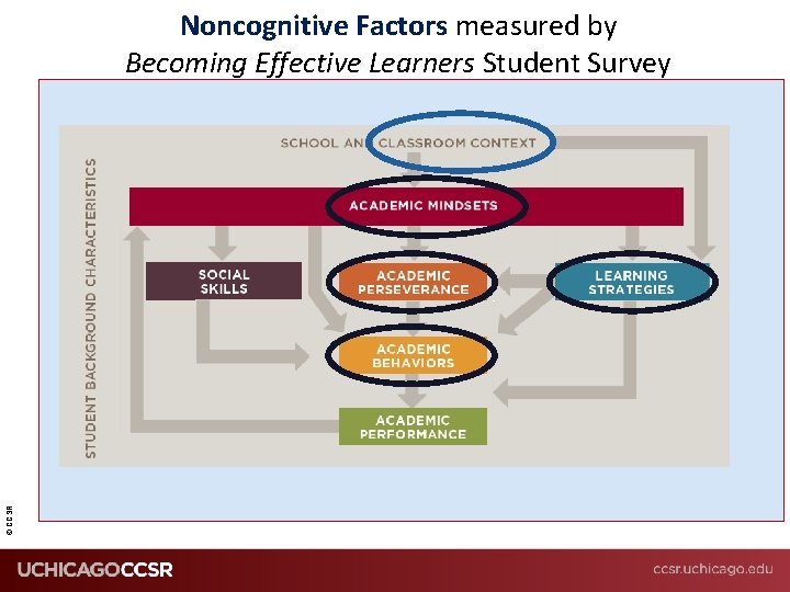 Noncognitive Factors measured by Becoming Effective Learners Student Survey © CCSR SOCIO-CULTURAL CONTEXT 