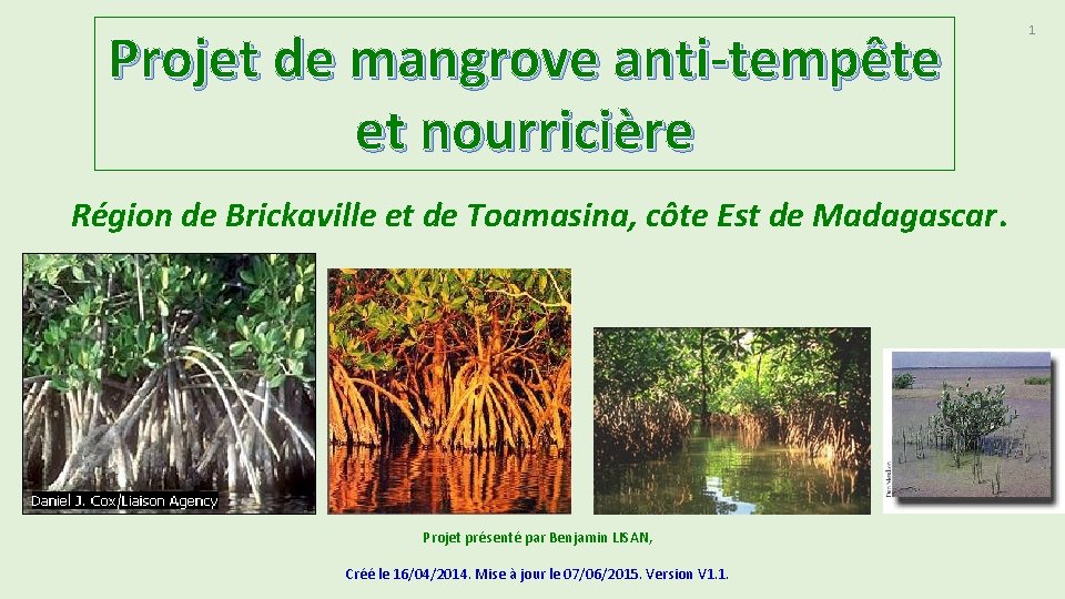 Projet de mangrove anti-tempête et nourricière Région de Brickaville et de Toamasina, côte Est Projet de mangrove anti-tempête et nourricière Région de Brickaville et de Toamasina, côte Est