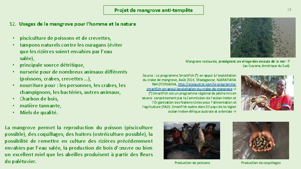 Projet de mangrove anti-tempête 13 12. Usages de la mangrove pour l’homme et la Projet de mangrove anti-tempête 13 12. Usages de la mangrove pour l’homme et la