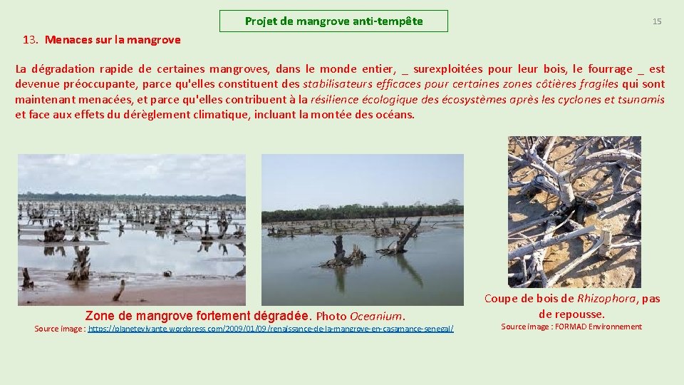 Projet de mangrove anti-tempête 15 13. Menaces sur la mangrove La dégradation rapide de Projet de mangrove anti-tempête 15 13. Menaces sur la mangrove La dégradation rapide de
