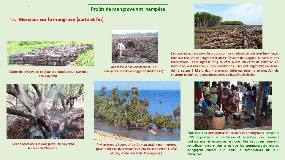 16 Projet de mangrove anti-tempête 13. Menaces sur la mangrove (suite et fin) Stocks 16 Projet de mangrove anti-tempête 13. Menaces sur la mangrove (suite et fin) Stocks