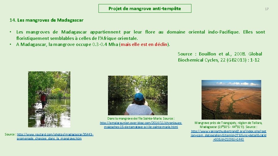 Projet de mangrove anti-tempête 17 14. Les mangroves de Madagascar • Les mangroves de Projet de mangrove anti-tempête 17 14. Les mangroves de Madagascar • Les mangroves de
