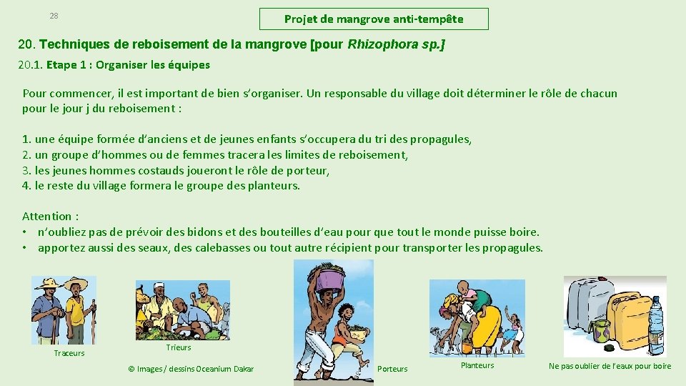 28 Projet de mangrove anti-tempête 20. Techniques de reboisement de la mangrove [pour Rhizophora 28 Projet de mangrove anti-tempête 20. Techniques de reboisement de la mangrove [pour Rhizophora