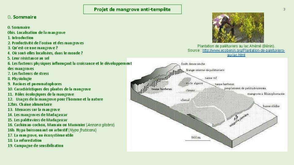 Projet de mangrove anti-tempête 3 0. Sommaire 0 bis. Localisation de la mangrove 1. Projet de mangrove anti-tempête 3 0. Sommaire 0 bis. Localisation de la mangrove 1.