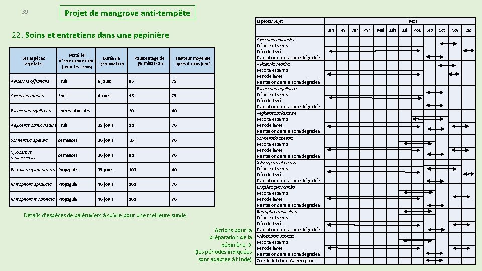 39 Projet de mangrove anti-tempête Espèces/ Sujet 22. Soins et entretiens dans une pépinière 39 Projet de mangrove anti-tempête Espèces/ Sujet 22. Soins et entretiens dans une pépinière