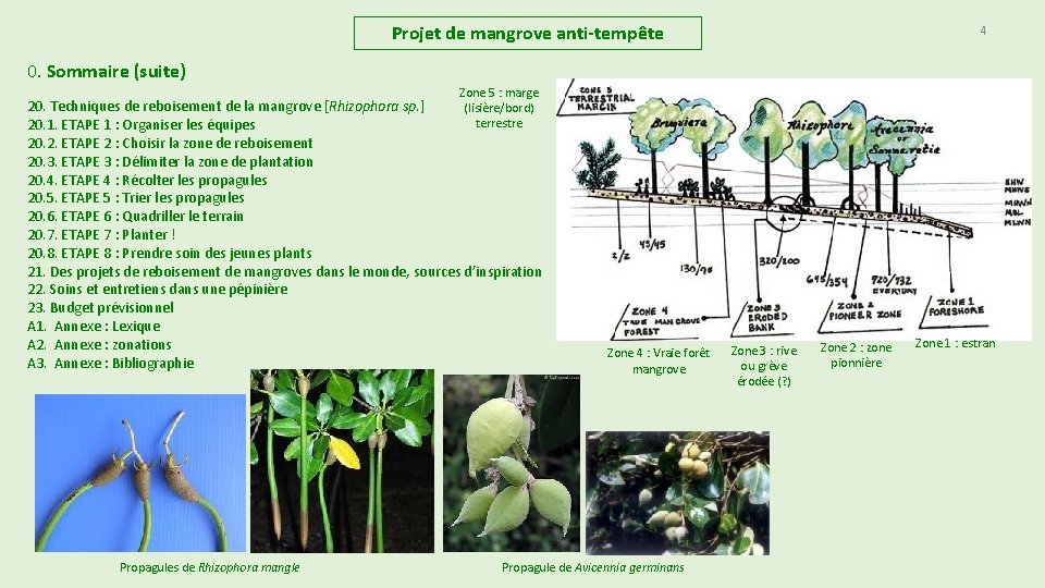 Projet de mangrove anti-tempête 4 0. Sommaire (suite) Zone 5 : marge 20. Techniques Projet de mangrove anti-tempête 4 0. Sommaire (suite) Zone 5 : marge 20. Techniques