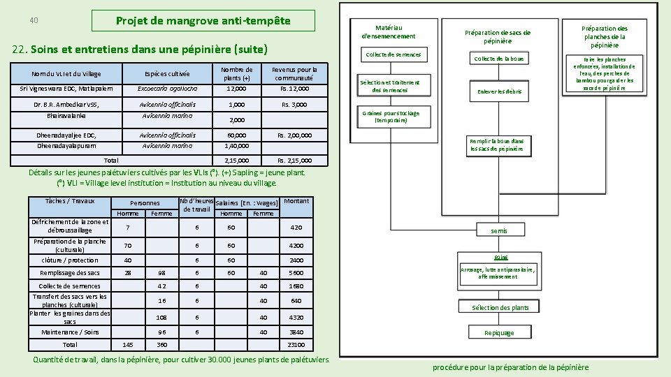 Projet de mangrove anti-tempête 40 Matériau d'ensemencement 22. Soins et entretiens dans une pépinière Projet de mangrove anti-tempête 40 Matériau d'ensemencement 22. Soins et entretiens dans une pépinière