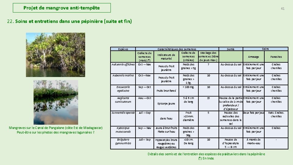 Projet de mangrove anti-tempête 41 22. Soins et entretiens dans une pépinière (suite et Projet de mangrove anti-tempête 41 22. Soins et entretiens dans une pépinière (suite et