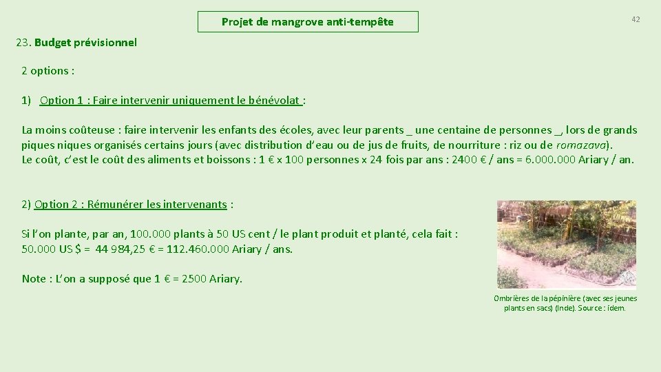 Projet de mangrove anti-tempête 42 23. Budget prévisionnel 2 options : 1) Option 1 Projet de mangrove anti-tempête 42 23. Budget prévisionnel 2 options : 1) Option 1
