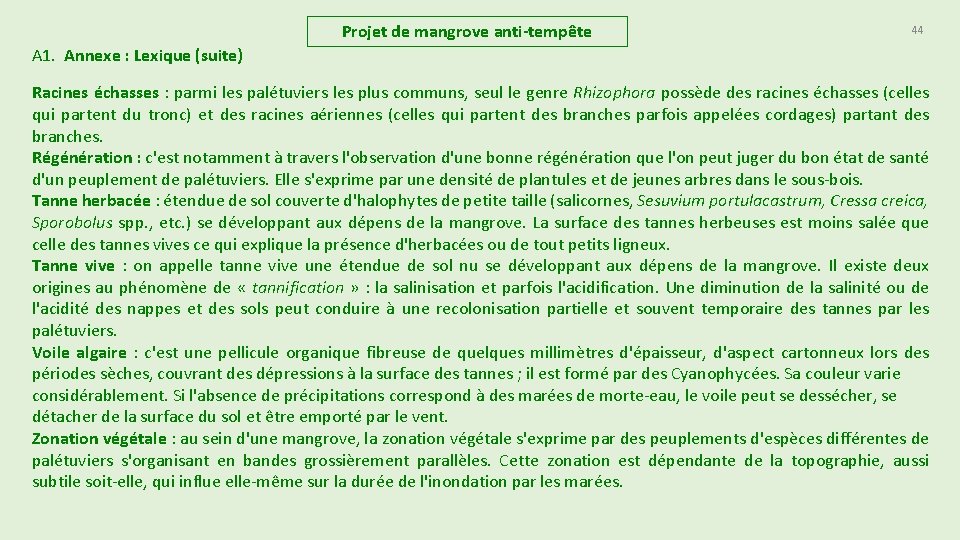 Projet de mangrove anti-tempête 44 A 1. Annexe : Lexique (suite) Racines échasses : Projet de mangrove anti-tempête 44 A 1. Annexe : Lexique (suite) Racines échasses :