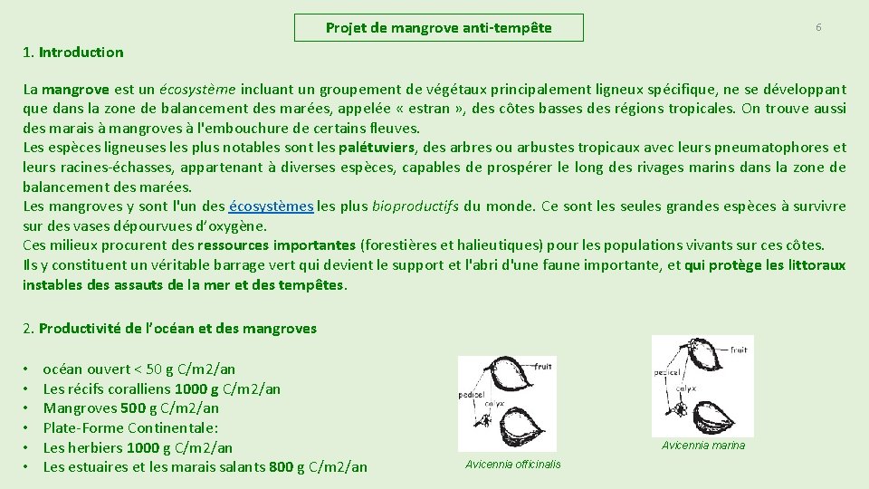 Projet de mangrove anti-tempête 6 1. Introduction La mangrove est un écosystème incluant un Projet de mangrove anti-tempête 6 1. Introduction La mangrove est un écosystème incluant un