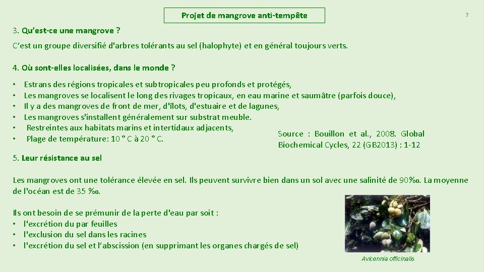 Projet de mangrove anti-tempête 7 3. Qu’est-ce une mangrove ? C’est un groupe diversifié Projet de mangrove anti-tempête 7 3. Qu’est-ce une mangrove ? C’est un groupe diversifié