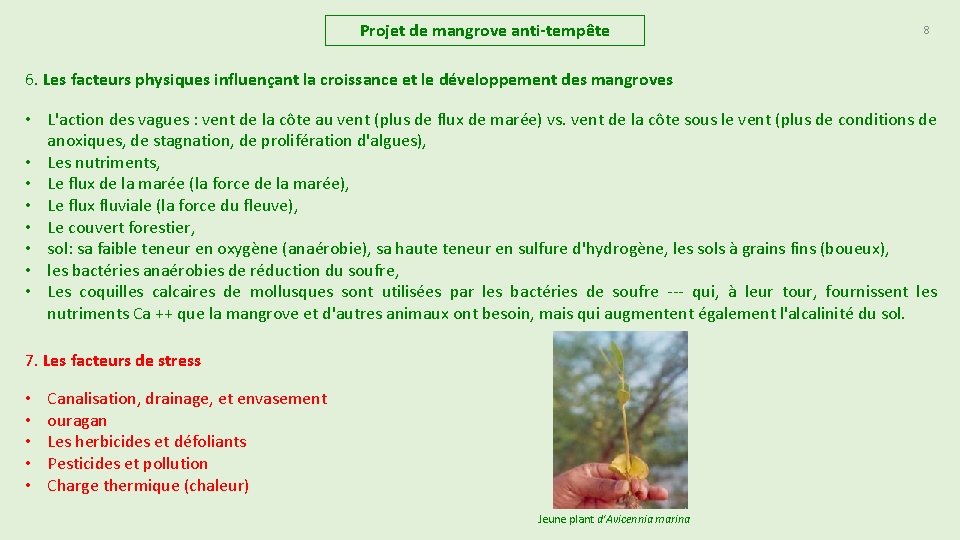 Projet de mangrove anti-tempête 8 6. Les facteurs physiques influençant la croissance et le Projet de mangrove anti-tempête 8 6. Les facteurs physiques influençant la croissance et le