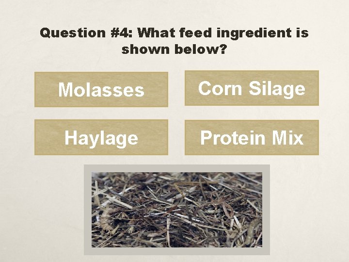 Question #4: What feed ingredient is shown below? Molasses Corn Silage Haylage Protein Mix