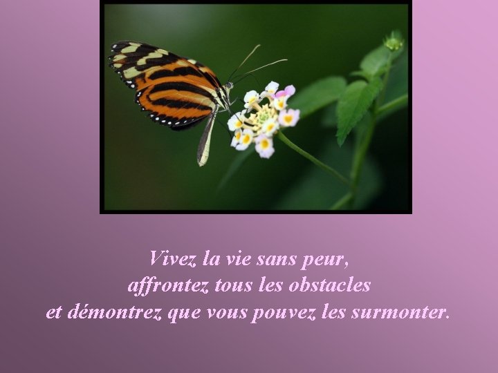 Vivez la vie sans peur, affrontez tous les obstacles et démontrez que vous pouvez