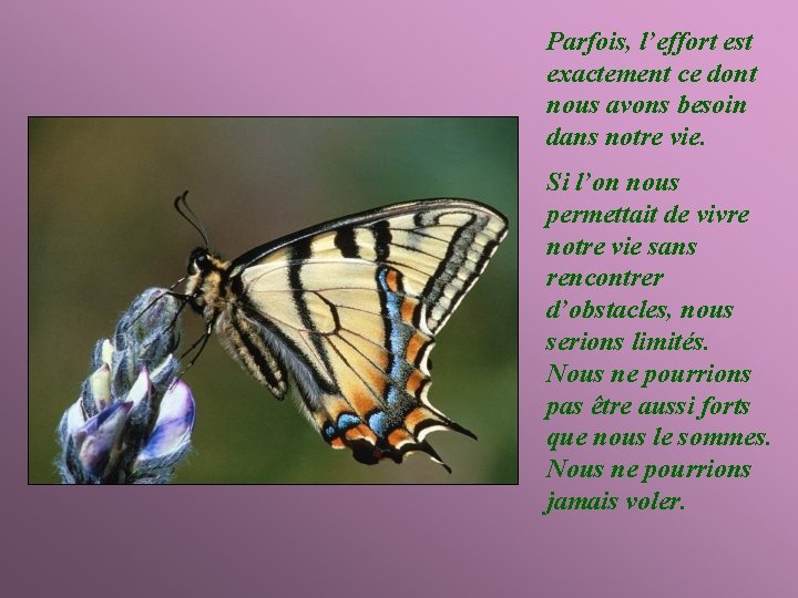 Parfois, l’effort est exactement ce dont nous avons besoin dans notre vie. Si l’on