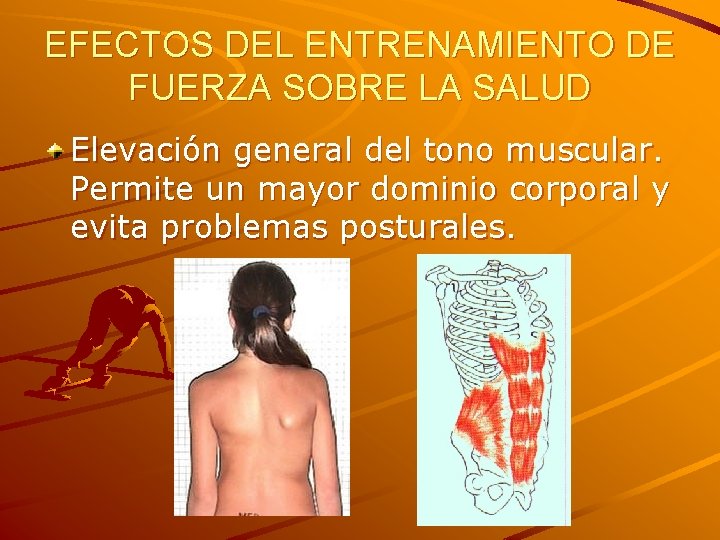 EFECTOS DEL ENTRENAMIENTO DE FUERZA SOBRE LA SALUD Elevación general del tono muscular. Permite