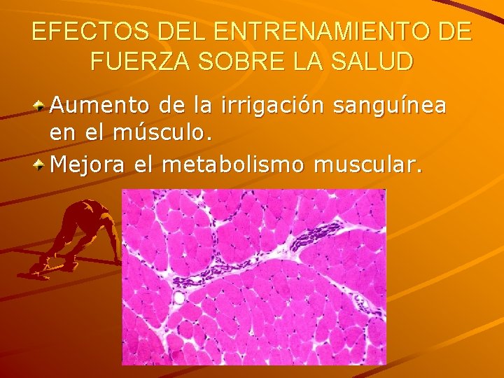 EFECTOS DEL ENTRENAMIENTO DE FUERZA SOBRE LA SALUD Aumento de la irrigación sanguínea en