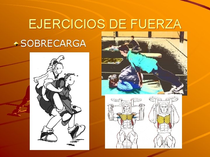 EJERCICIOS DE FUERZA SOBRECARGA 