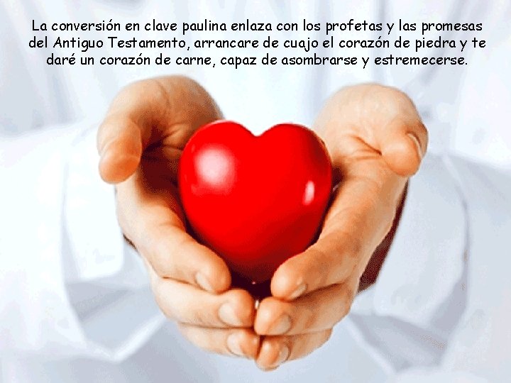 La conversión en clave paulina enlaza con los profetas y las promesas del Antiguo