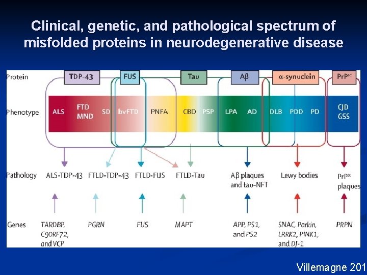 Clinical, genetic, and pathological spectrum of misfolded proteins in neurodegenerative disease Villemagne 2015 