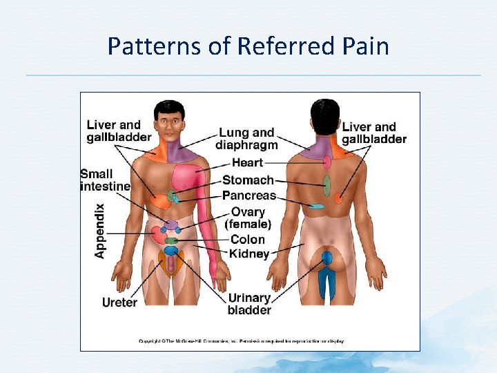 Patterns of Referred Pain 