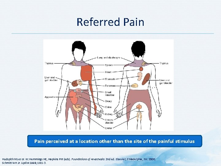 Referred Pain perceived at a location other than the site of the painful stimulus
