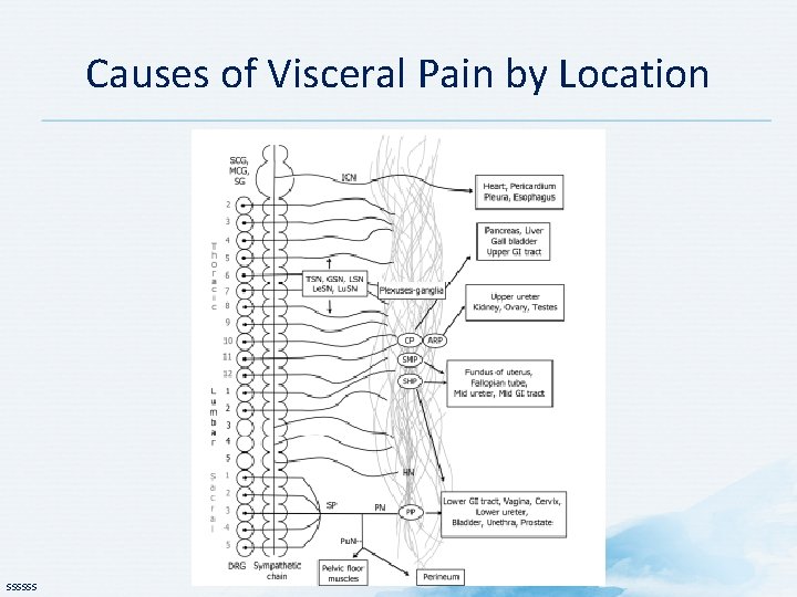 Causes of Visceral Pain by Location SSSSSS 