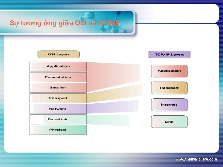 Sự tương ứng giữa OSI và TCP/IP www. themegallery. com 