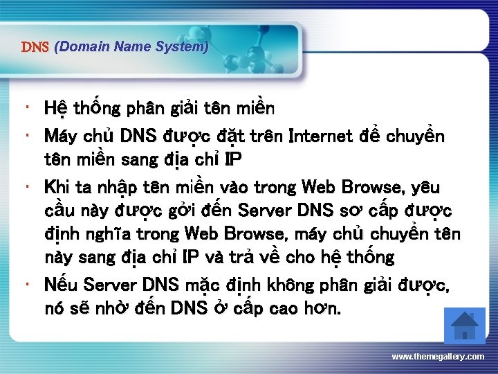 DNS (Domain Name System) • Hệ thống phân giải tên miền • Máy chủ