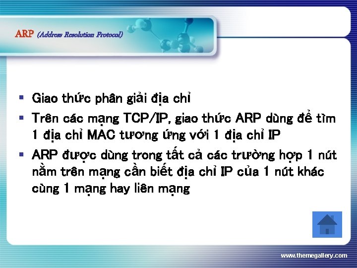 ARP (Address Resolution Protocol) § Giao thức phân giải địa chỉ § Trên các